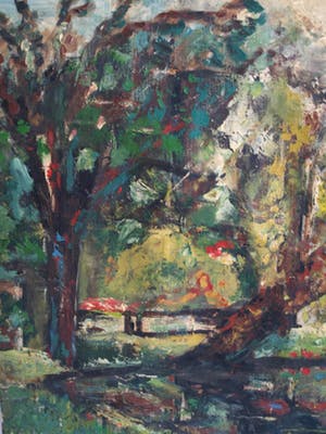 Niet of onleesbaar gesigneerd - Olieverf op doek , “Landschap met zwaan” kopen? Bied vanaf 1!