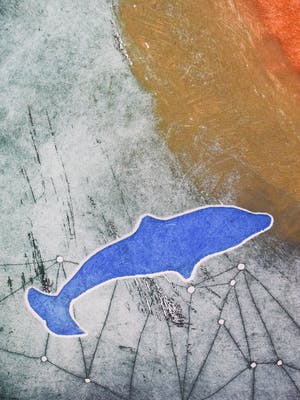 Ad Arma - And the Sea - Groot - Ingelijst kopen? Bied vanaf 300!