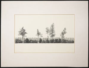 Joop Vegter - Pentekening, Houtwal bij Sandenburgerlaan, Doorn kopen? Bied vanaf 120!