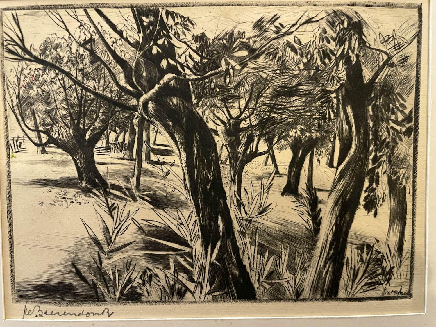 Theo Beerendonk - Knotwilgen kopen? Bied vanaf 40!