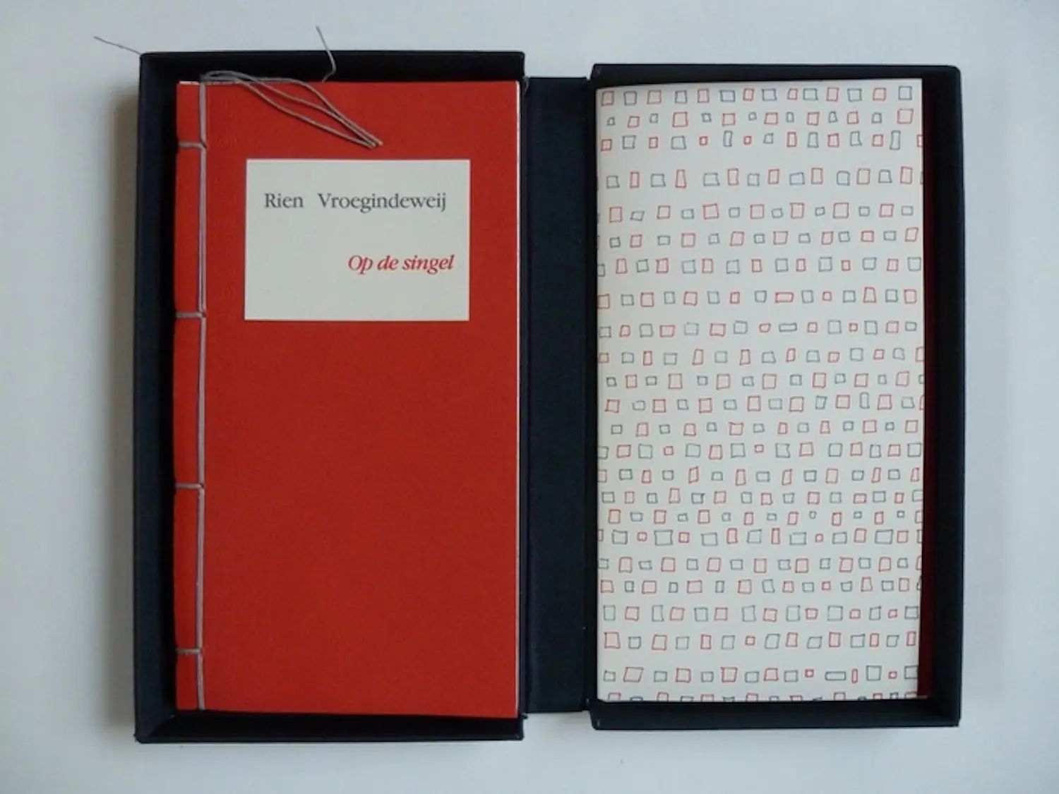 Rien Vroegindeweij (1944)