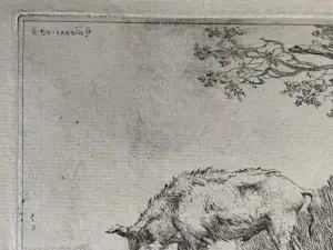 Karel Dujardin - Drie zwijnen (en nog twee etsen Berchem) kopen? Bied vanaf 30!