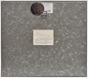 Durga Kainthola - Le clown kopen? Bied vanaf 45!