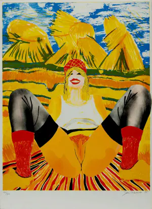 Jan Cremer - Complete portfolio map met 6 gesigneerde litho's - 1975 kopen? Bied vanaf 1799!