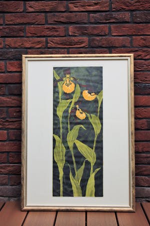 Dianne Bakker - Vrouwenschoentje kopen? Bied vanaf 35!