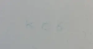 Aafke Kelly - Gemengde techniek op board, Fanning Lady - Ingelijst (Groot) kopen? Bied vanaf 100!