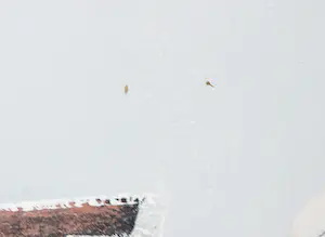 Lee Reynolds Burr - Olieverf op doek, Stilleven met aardewerk - Ingelijst (Groot) kopen? Bied vanaf 50!