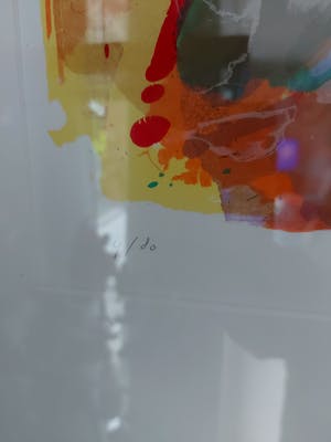 Paul de Vries - Roos kealakekua kopen? Bied vanaf 200!