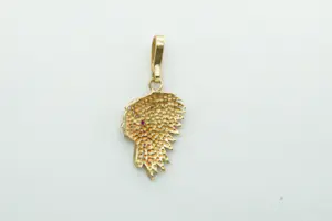 69 - Mooi gedetailleerde gouden 18krt Indiaan en profil hanger  - gekeurd kopen? Bied vanaf 230!