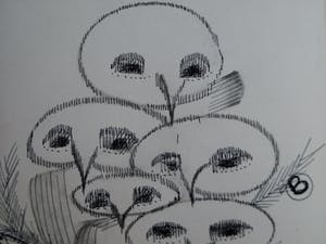 Chrysiis - Inkttekening , Ontwerp voor Kerstkaart 1978 + Boekje kopen? Bied vanaf 1!