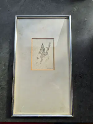 Henri Plaat - hoofd kopen? Bied vanaf 25!