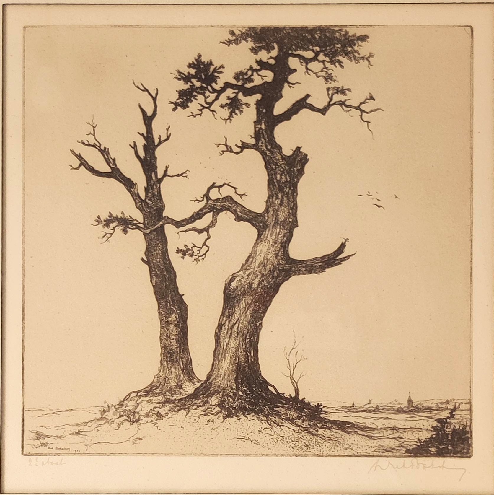 AcheterDirk Baksteen - Kempisch landschap met karakteristieke bomen? Enchérissez de 40!