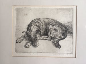 Ronald Terpstra - ets - slapende hond ("Vino") kopen? Bied vanaf 30!
