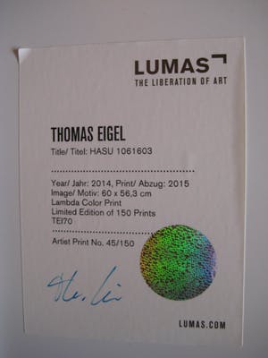 Buy Thomas Eigel - Lambda Color Print? Bid from 275!