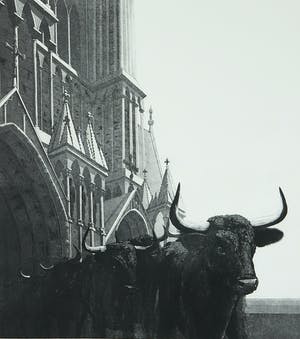 Rene Polak - Ets en aquatint, Zonder titel - Ingelijst kopen? Bied vanaf 35!