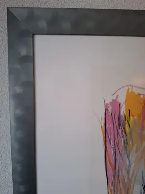 Peter Schenk - Zeefdruk, in mooie lijst, handgesigneerd kopen? Bied vanaf 75!