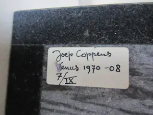 Joep Coppens - Venus kopen? Bied vanaf 475!