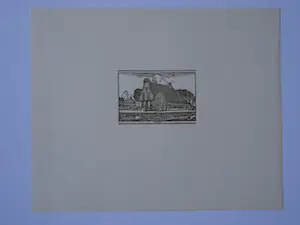 Wijnand Otto Jan Nieuwenkamp - Zaanse boerderij kopen? Bied vanaf 30!