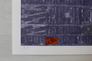 Alan Sonfist - „Views of Manhattan“ - Auflage von 100 - signiert - (67 x 67 cm) kopen? Bied vanaf 90!
