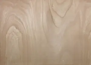 Pim Lenos - Olieverf op paneel, Zonder titel kopen? Bied vanaf 150!