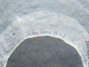 Bernard Heesen - Blauw gevlekte schimmelvaas kopen? Bied vanaf 120!