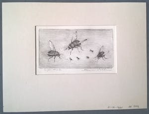 Hans van Dokkum - gesigneerde ets kopen? Bied vanaf 35!