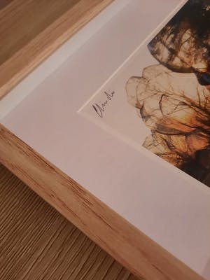 Christo - Wrapped Trees (inclusief origineel stukje stof) kopen? Bied vanaf 100!