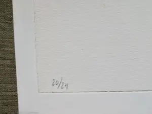 Sandra Kruisbrink - Grote litho kopen? Bied vanaf 10!