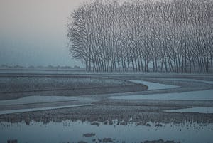 Hans Heijman - Landschap Vleugeldijk - grote kleurets oplage 60 ex. kopen? Bied vanaf 90!