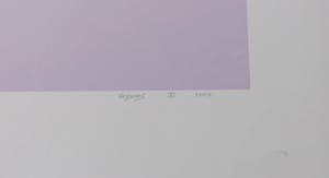 Mark Verdoes - C-print, Natura zwart-wit schelp kopen? Bied vanaf 1!