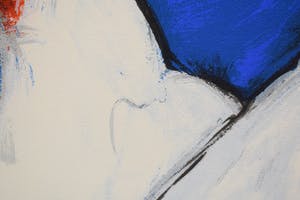 Ellen Meuwese - kippengekeuvel kopen? Bied vanaf 25!