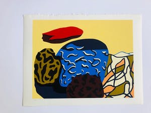 Doris Groeneveld - New Zeeland kopen? Bied vanaf 75!