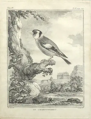 Jacques de Sève - Ets, Le Chardonneret kopen? Bied vanaf 35!