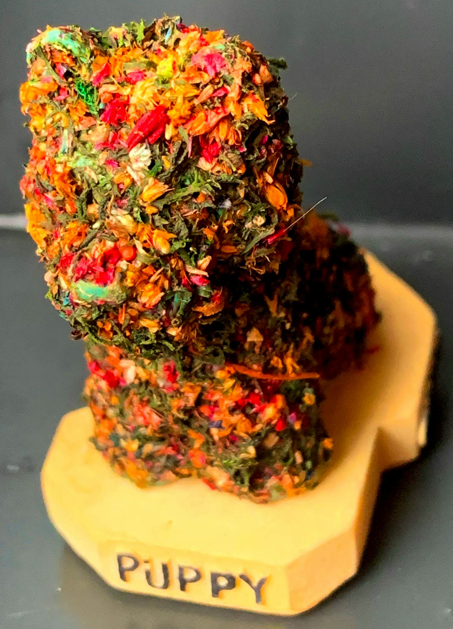 Jeff Koons - Multiple ‘Puppy’ kopen? Bied vanaf 125!