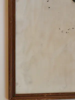 Tijmen Moll - Portret van een uil kopen? Bied vanaf 125!