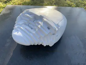 Frans Steginga - "Ovale" kopen? Bied vanaf 600!