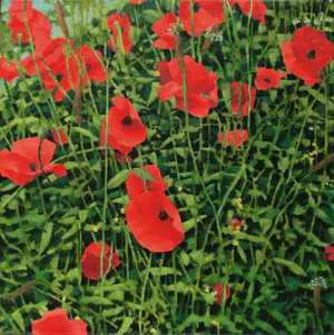 Willem Visser - Klaprozen 3 kopen? Bied vanaf 140!