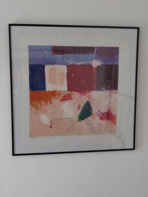 Buy Alexander Vogels - Litho op geschept papier in nieuwe lijst? Bid from 75!