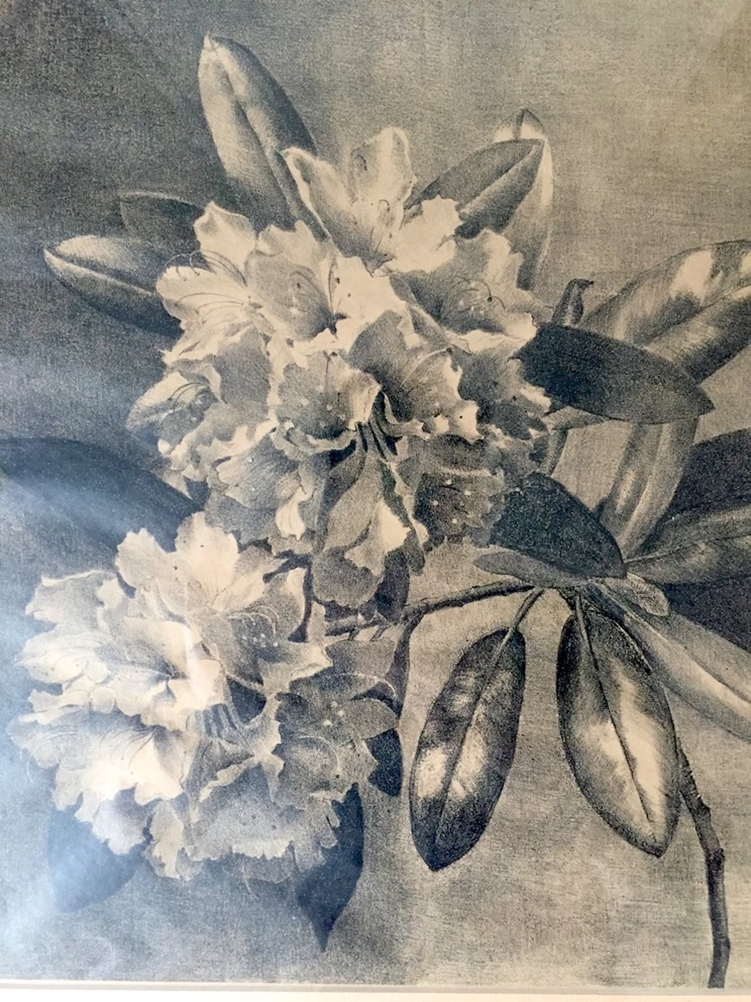 Anna Catharina Teding van Berkhout (1915-2000)