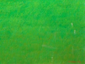 Aat Verhoog - Olieverf op doek, Gazon - Ingelijst (Groot) kopen? Bied vanaf 1!