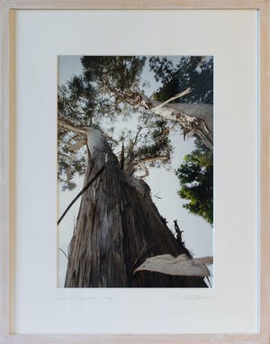 Arthur Martin - -Eucalyptus- / Los Angeles '09 kopen? Bied vanaf 1!