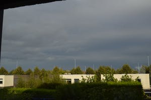 Jan Mankes - Koemelkster. kopen? Bied vanaf 300!