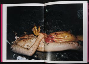 Cristobal Hara - C-Print op aluminium, Zonder titel - Ingelijst (Groot) kopen? Bied vanaf 1!