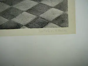 David Bles - Binnenhuis met pappagaai kopen? Bied vanaf 20!