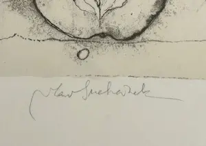 Vladimir Suchanek - Appels en Peren kopen? Bied vanaf 35!