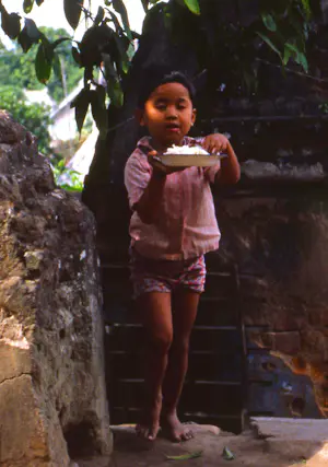 Hans van Wingerden - Yogja I kopen? Bied vanaf 175!