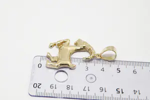 81 - Mooi gedetailleerde 14Krt gouden zodiac sterrenbeeld steenbok hanger kopen? Bied vanaf 230!