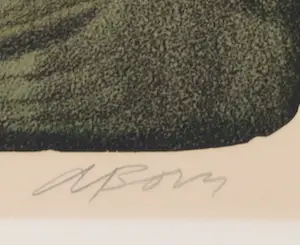 Adolf Born - Litho, Idioterie kopen? Bied vanaf 400!