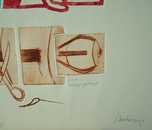 Arend van Dam - Kleuren ets op papier, getiteld "De schele ogen van Donald" 4/15 kopen? Bied vanaf 15!