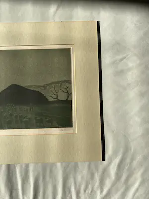 Tjeerd Bottema - Maannacht op de Veluwe kopen? Bied vanaf 50!